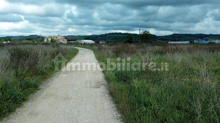 immagine annuncio 1 di 9