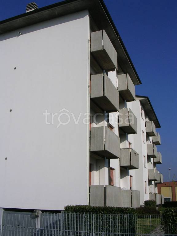 Appartamento in in vendita da privato a Borgo Virgilio via Luigi Pirandello, 18