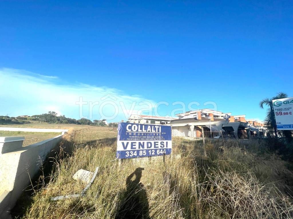 immagine annuncio 3 di 8