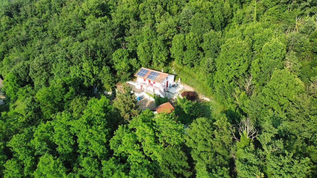 immagine annuncio 9 di 11