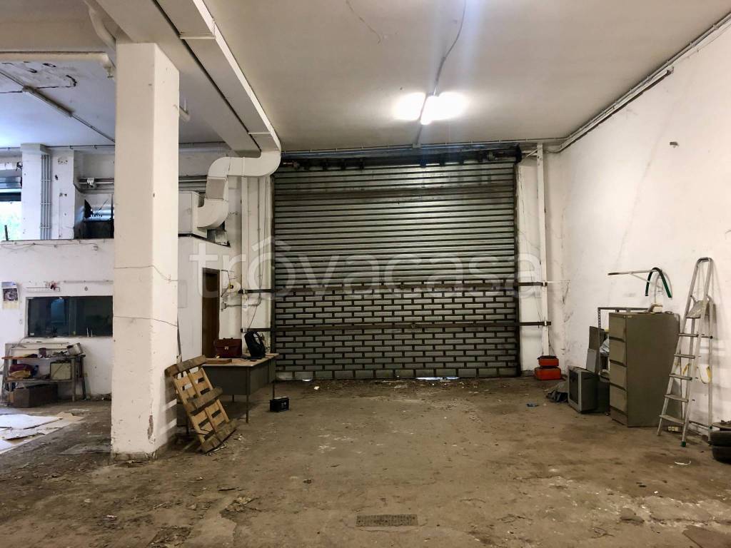 immagine annuncio 6 di 12