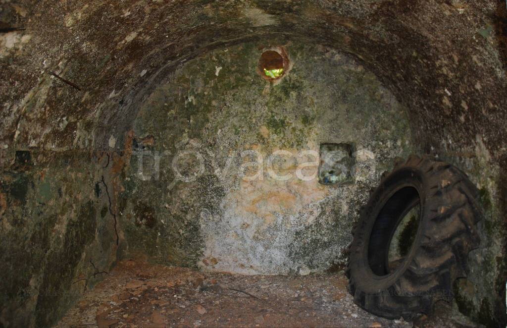 immagine annuncio 9 di 13