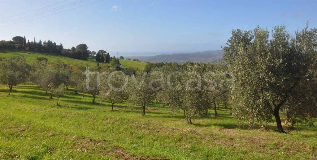 Terreno Agricolo in vendita a Castellina Marittima via della Repubblica