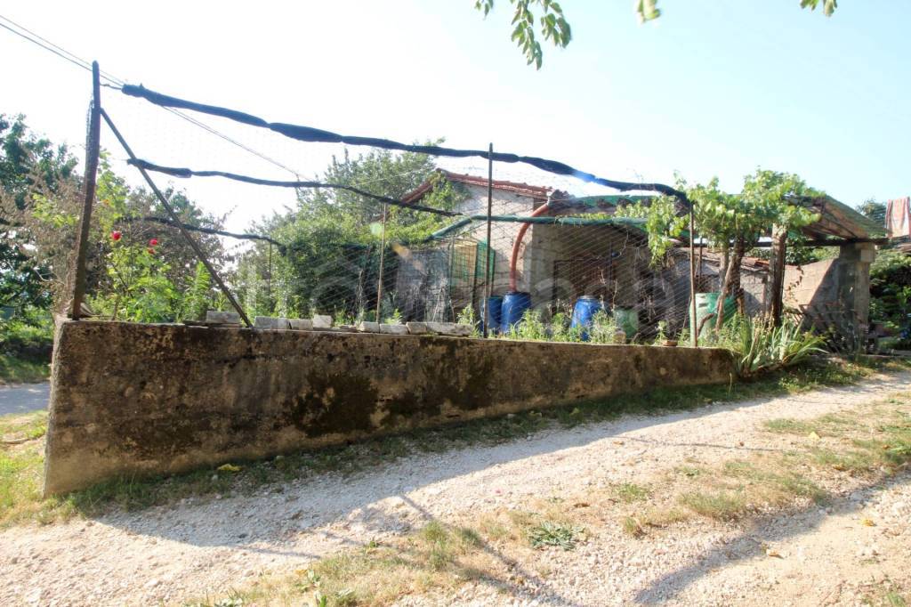 immagine annuncio 3 di 9