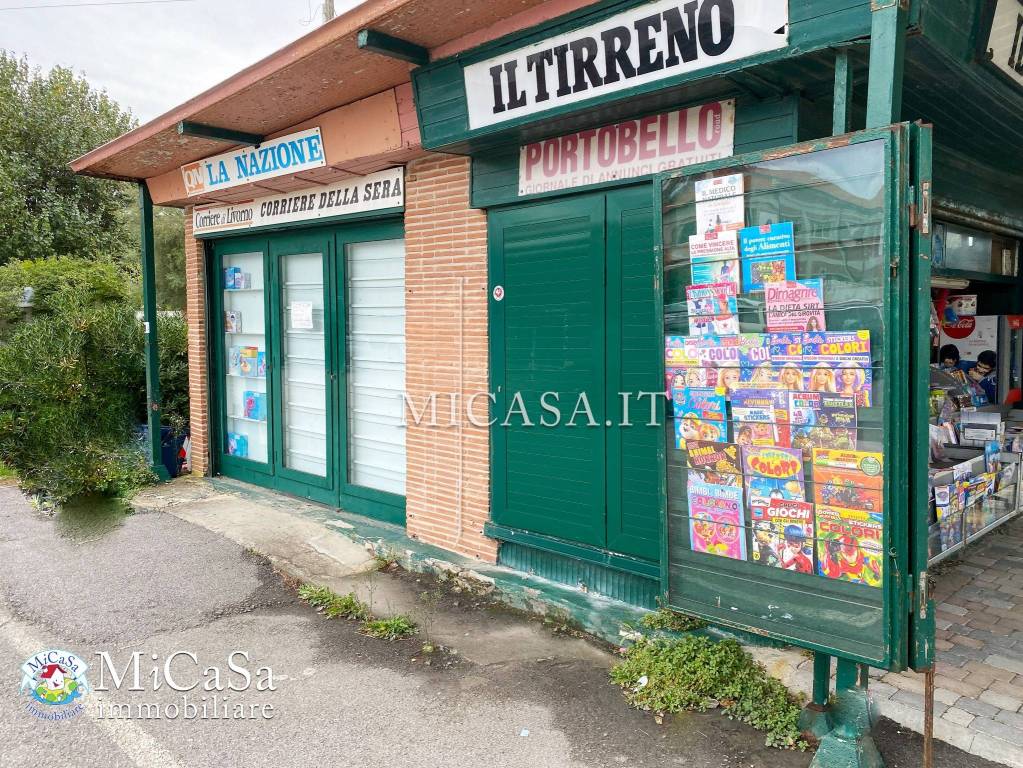 Edicola in vendita a Pisa viale del Tirreno, 341