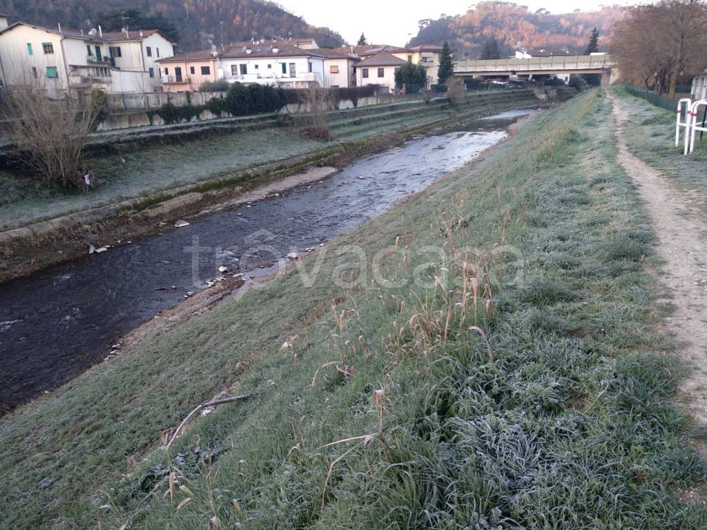immagine annuncio 5 di 6