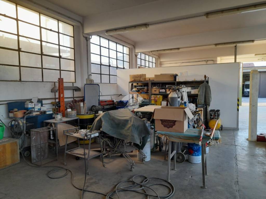 immagine annuncio 3 di 8