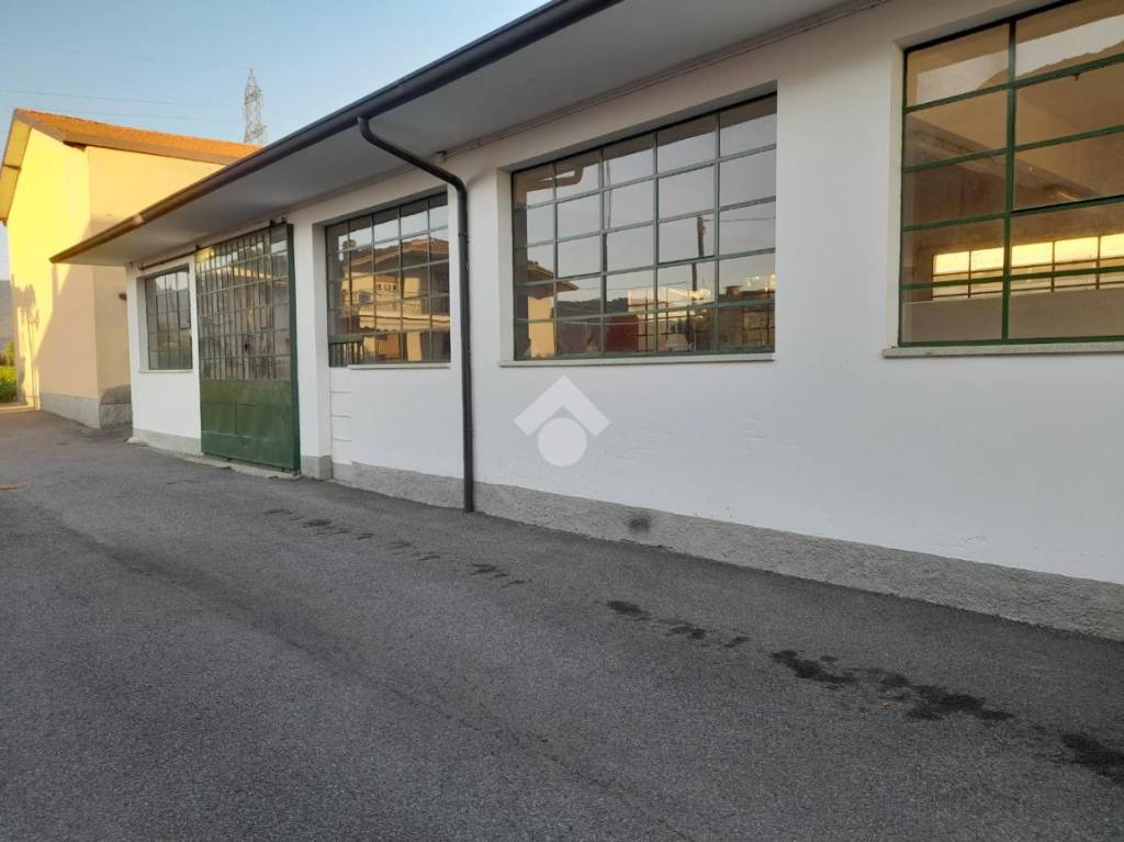 immagine annuncio 5 di 8