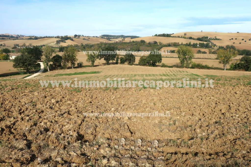 Terreno Agricolo in vendita a Montefano