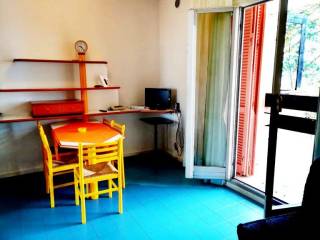 Appartamento in in vendita da privato a maratea santa caterina, 1