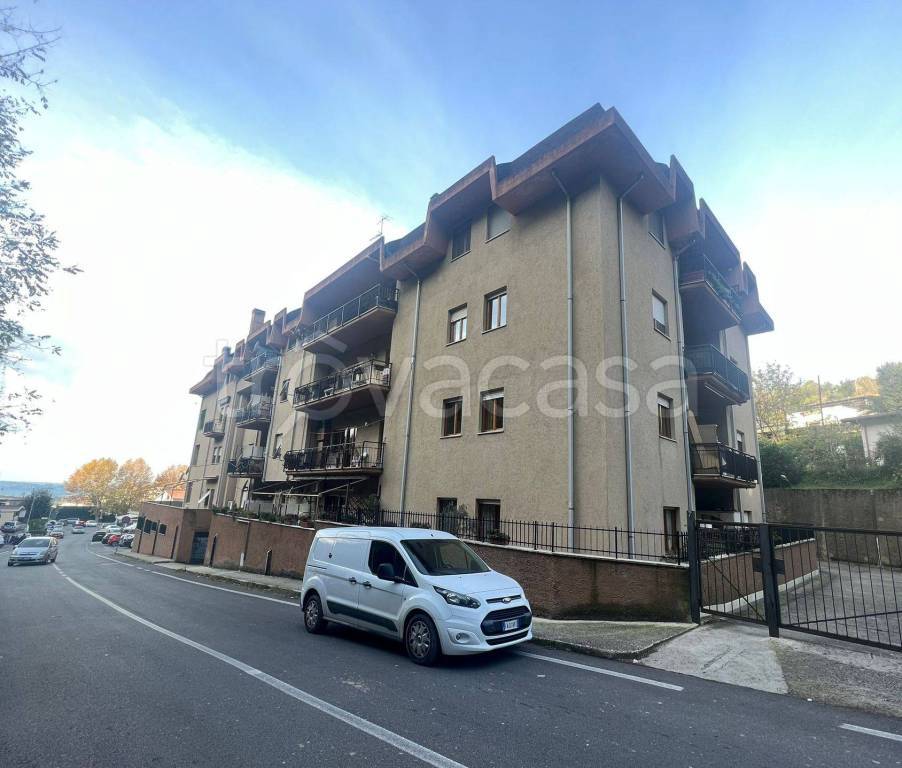 immagine annuncio 5 di 12