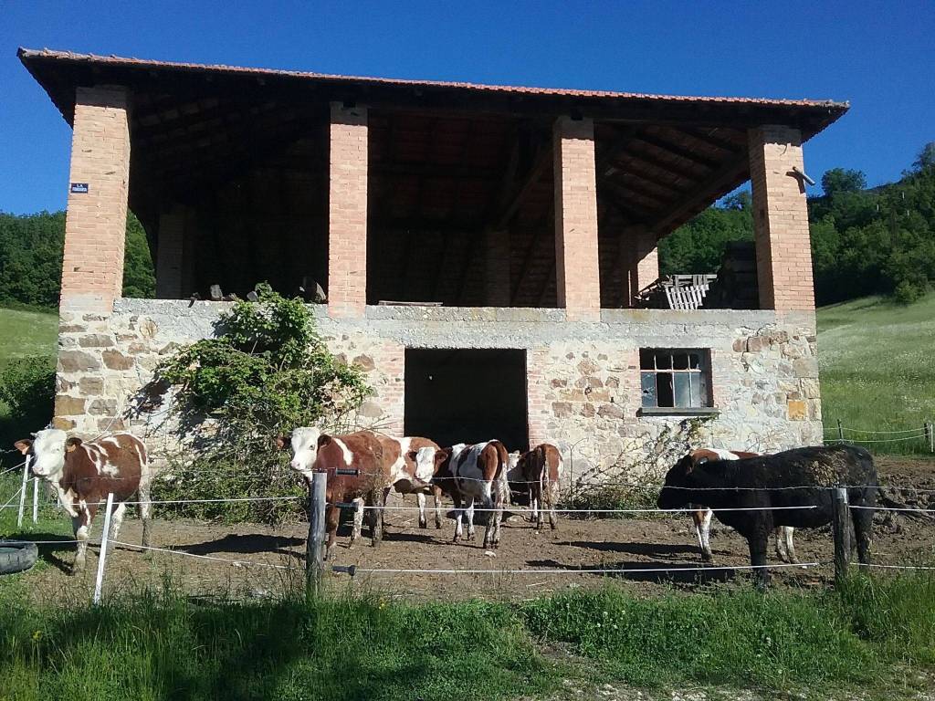 Terreno Agricolo in vendita a Bobbio valle