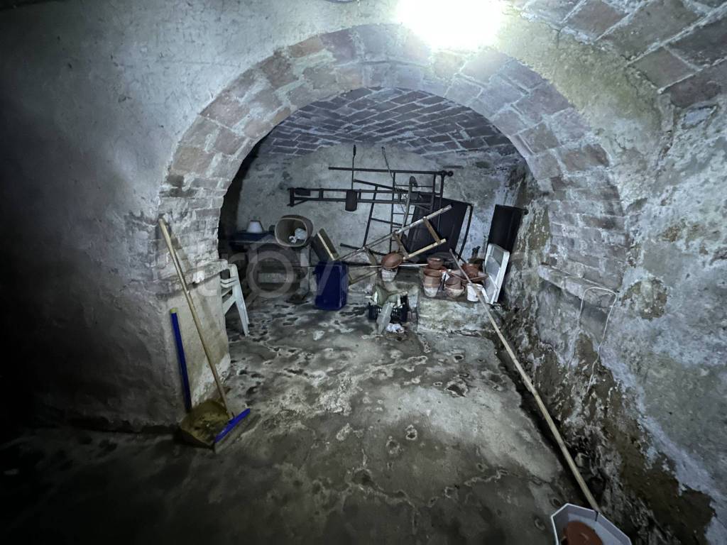 immagine annuncio 9 di 14
