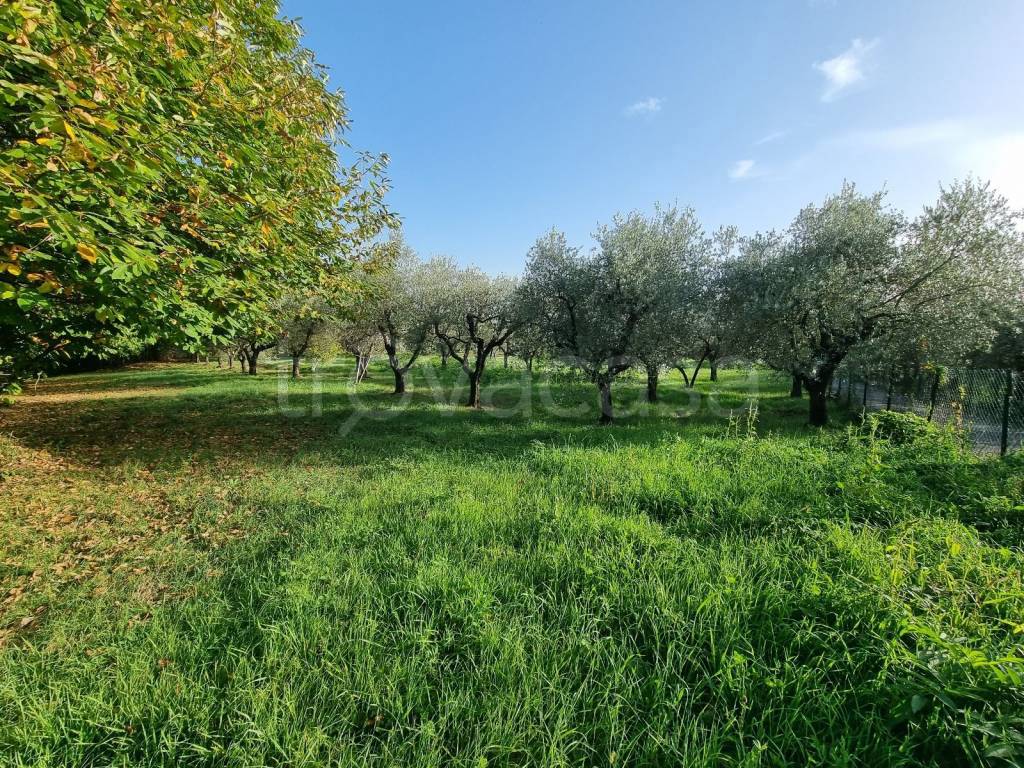 immagine annuncio 2 di 13