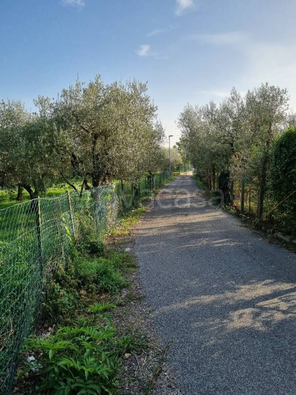 immagine annuncio 8 di 13