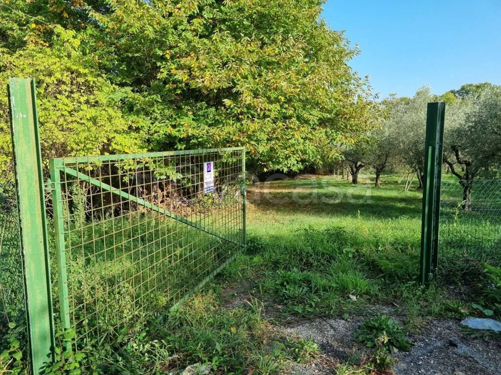 immagine annuncio 9 di 13