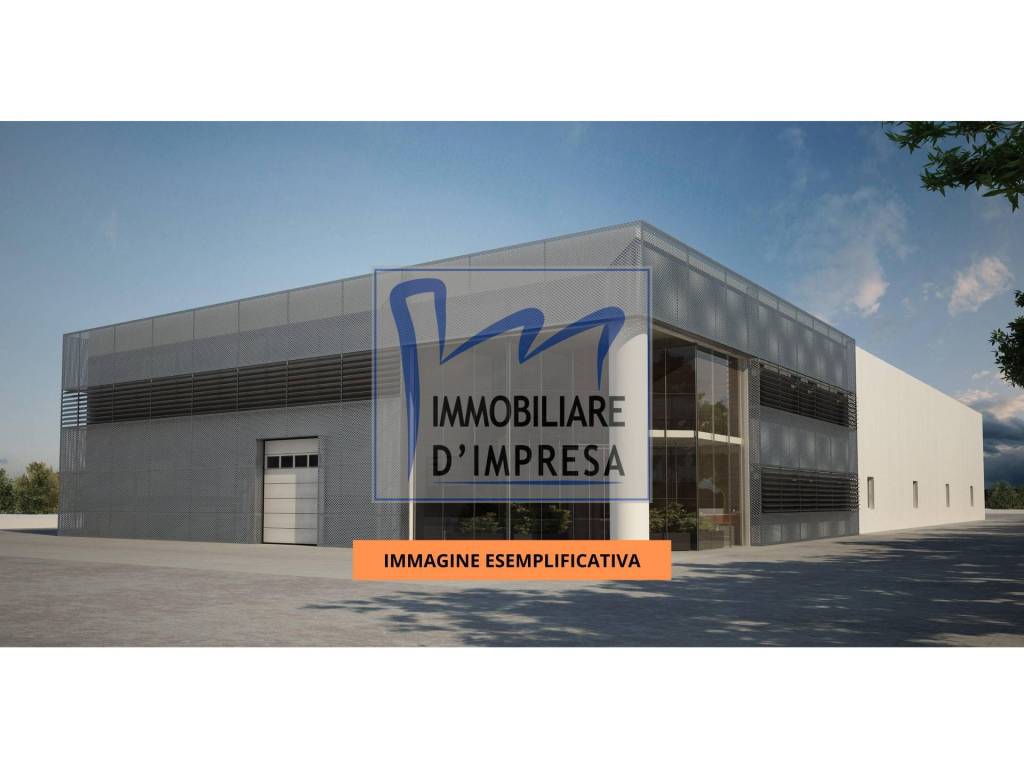immagine annuncio 3 di 11