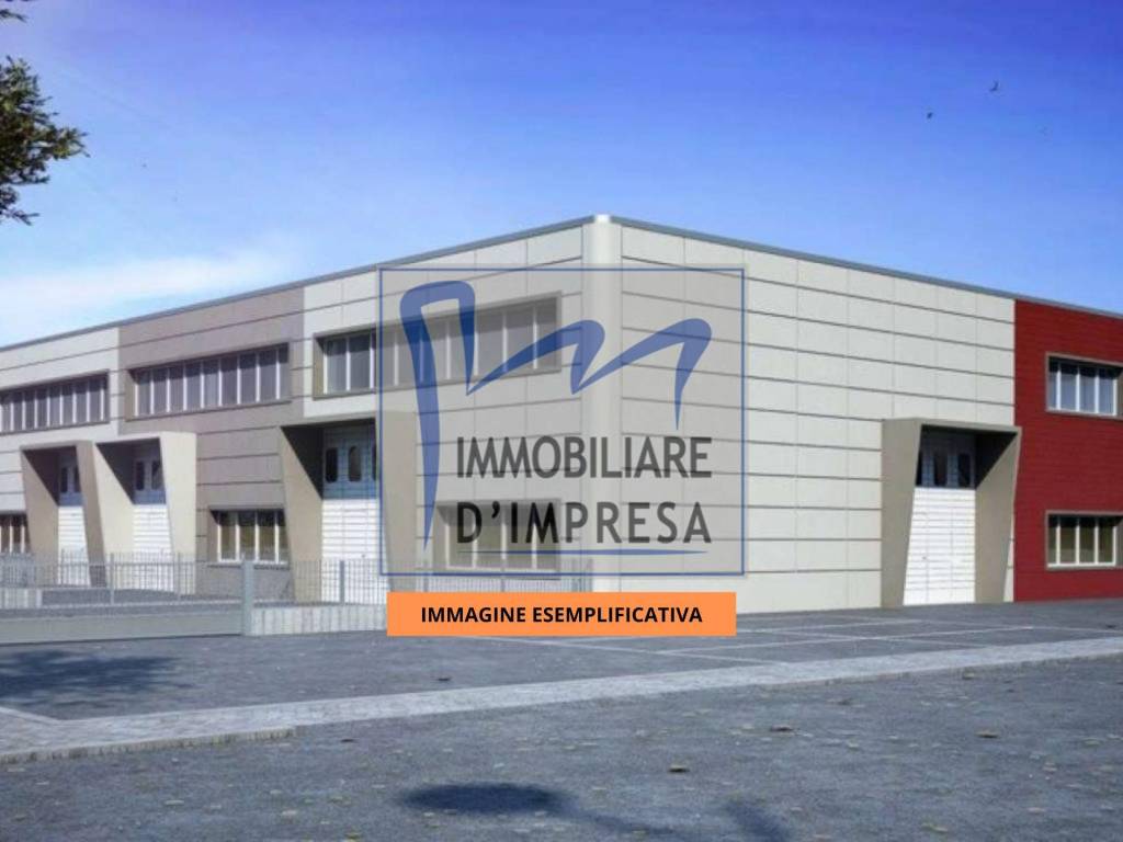 immagine annuncio 7 di 11