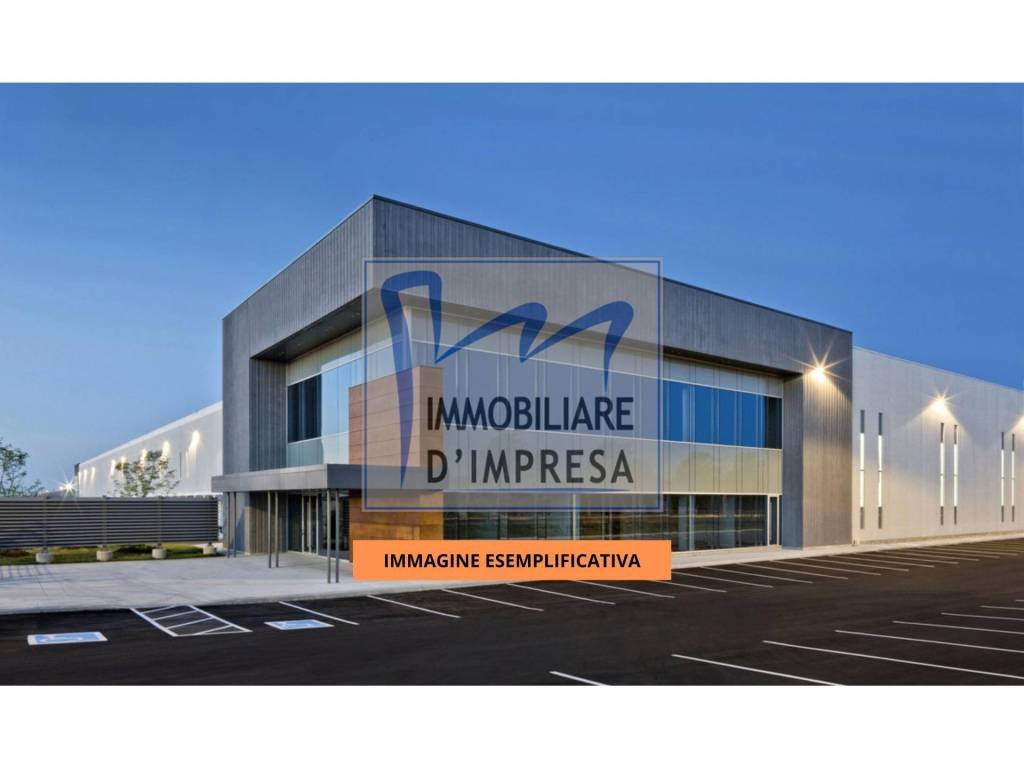 immagine annuncio 8 di 11