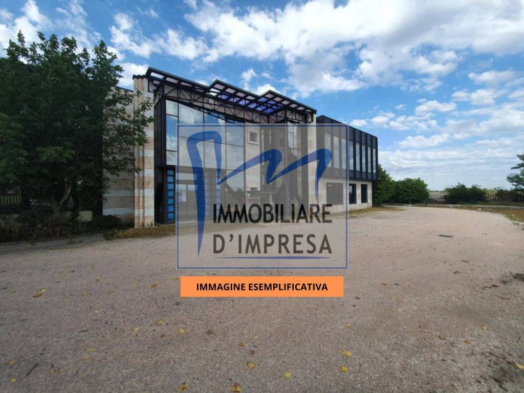 immagine annuncio 9 di 11