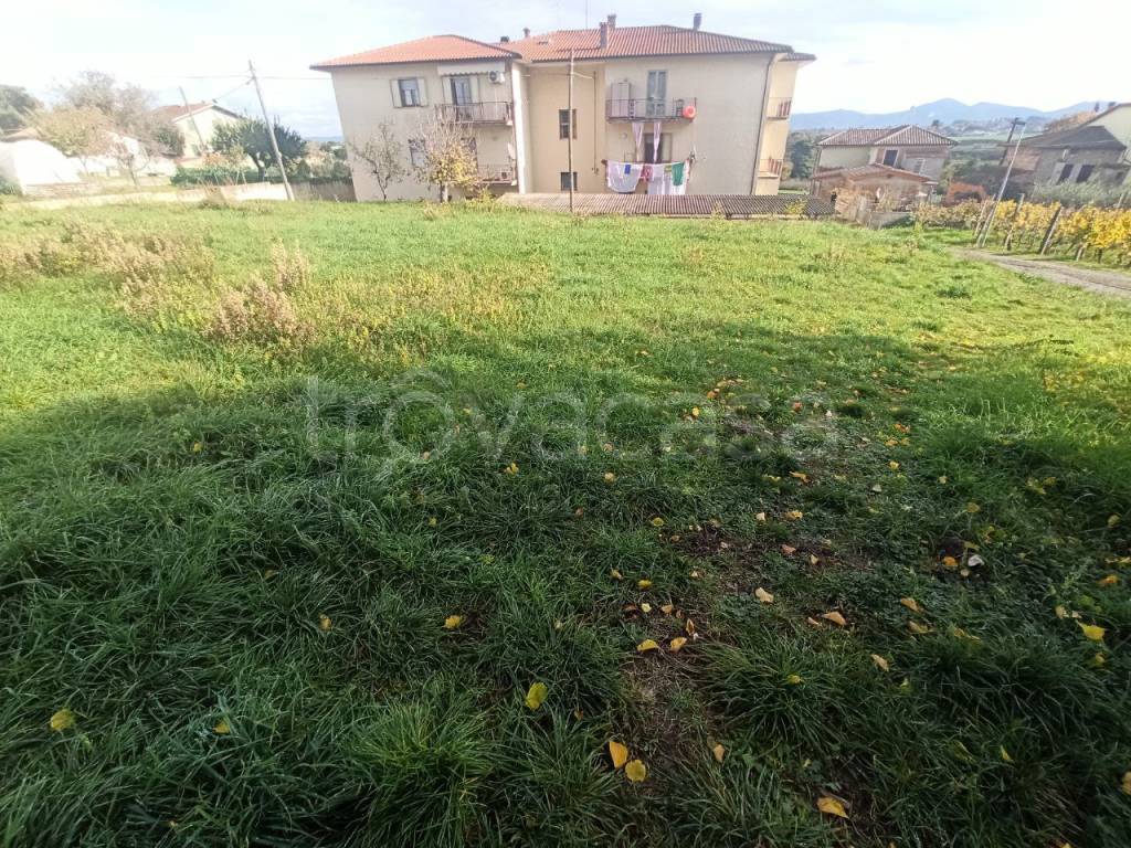Terreno Residenziale in vendita a Castiglione del Lago via Roma