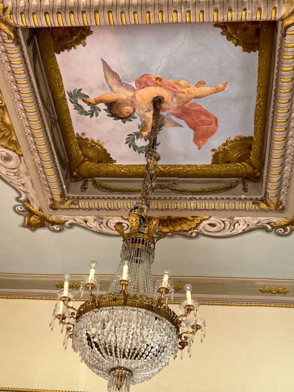 immagine annuncio 14 di 15