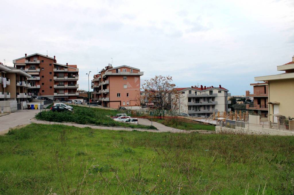 immagine annuncio 9 di 11
