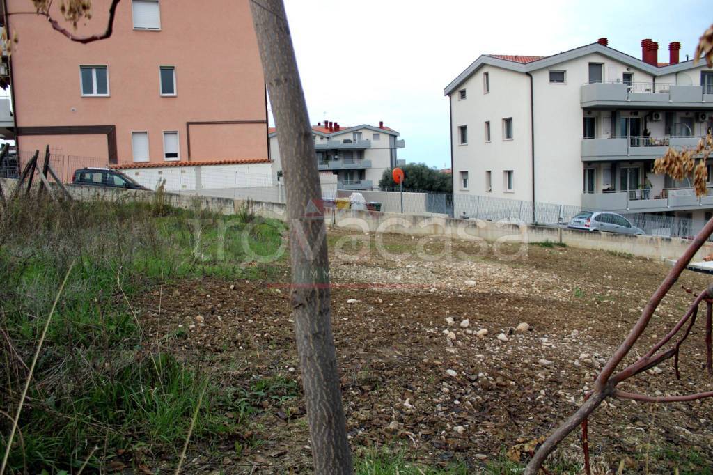 immagine annuncio 5 di 11
