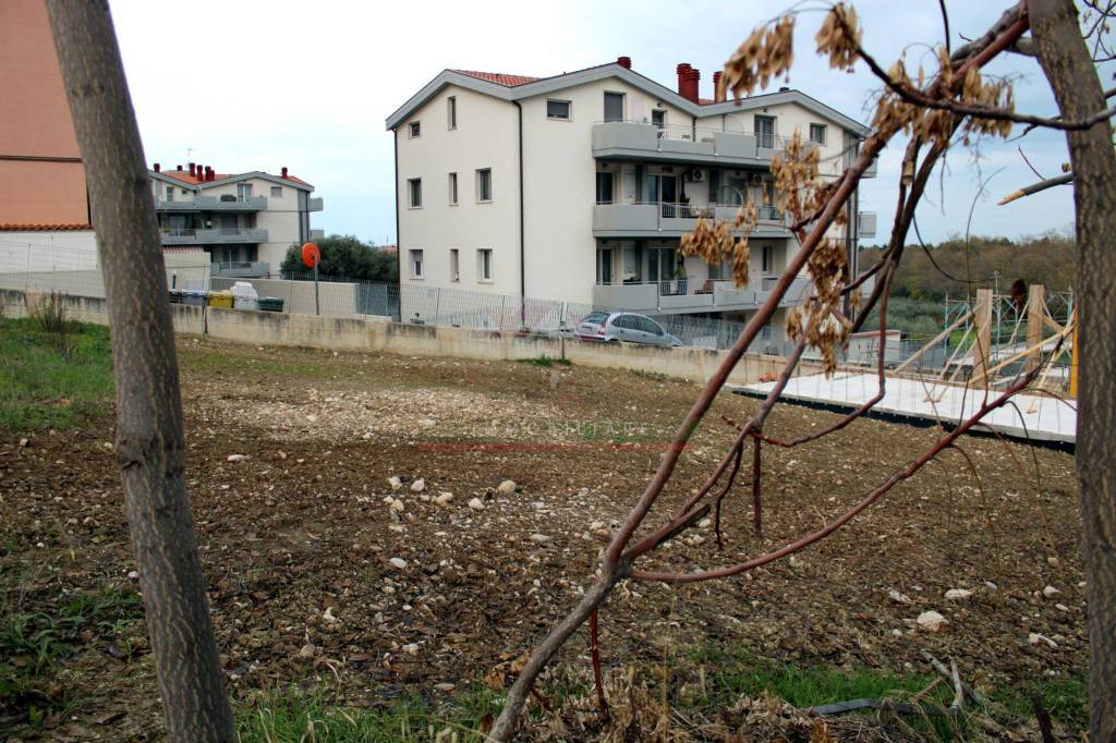 immagine annuncio 6 di 11