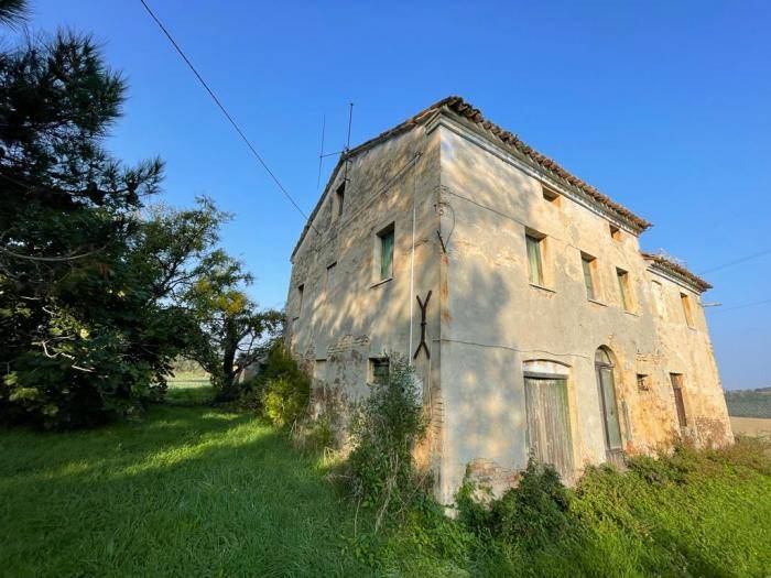 immagine annuncio 3 di 6