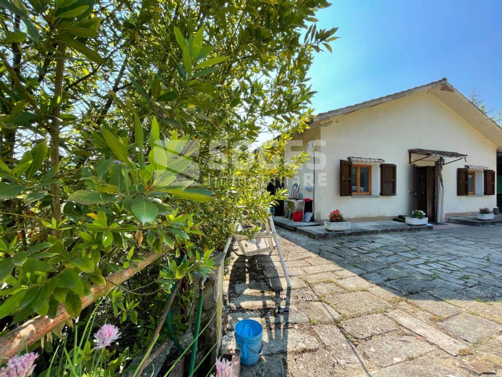 immagine annuncio 10 di 14