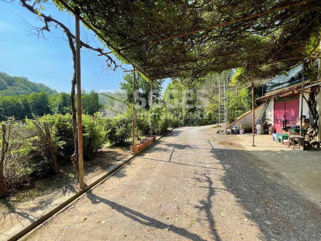 immagine annuncio 6 di 14