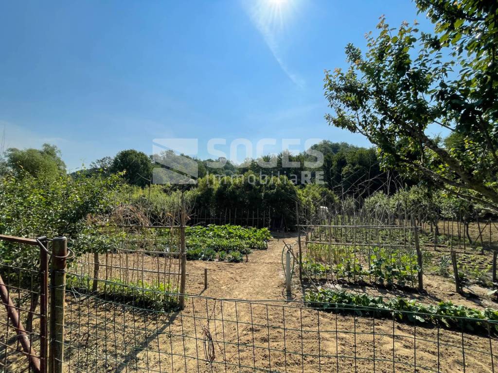 immagine annuncio 2 di 14