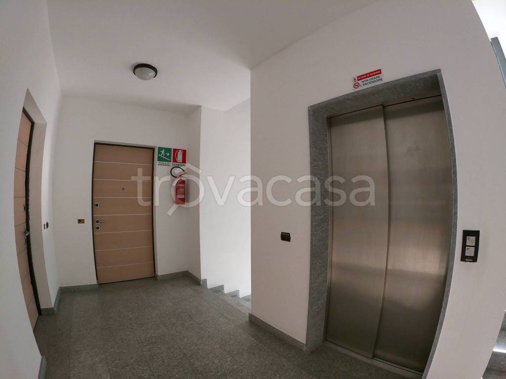 immagine annuncio 11 di 12