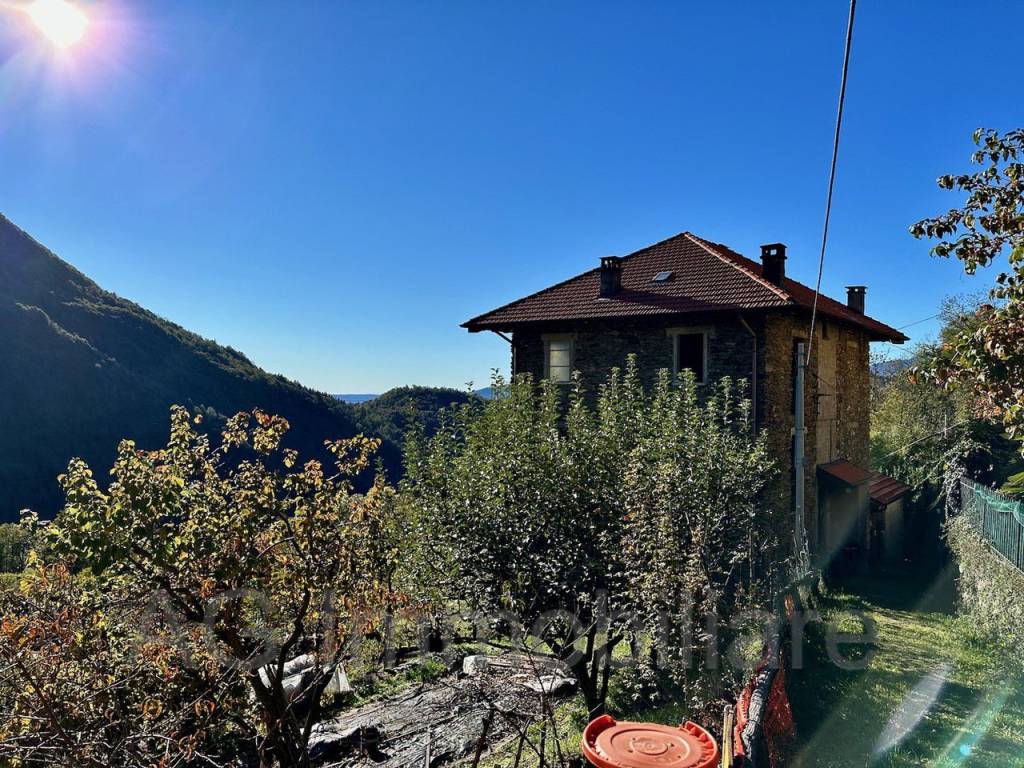 immagine annuncio 1 di 12