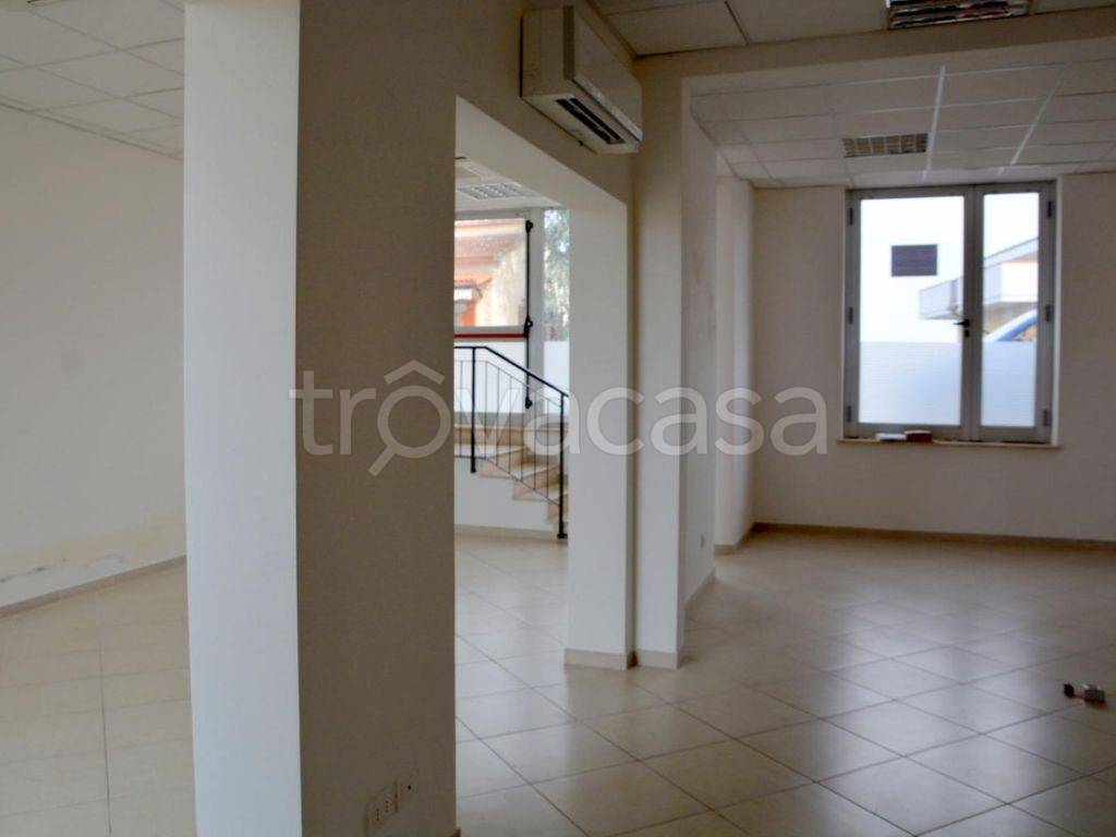 immagine annuncio 2 di 7