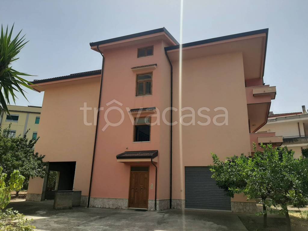 immagine annuncio 2 di 14