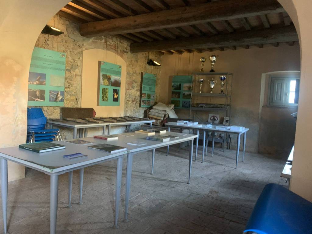 immagine annuncio 3 di 14