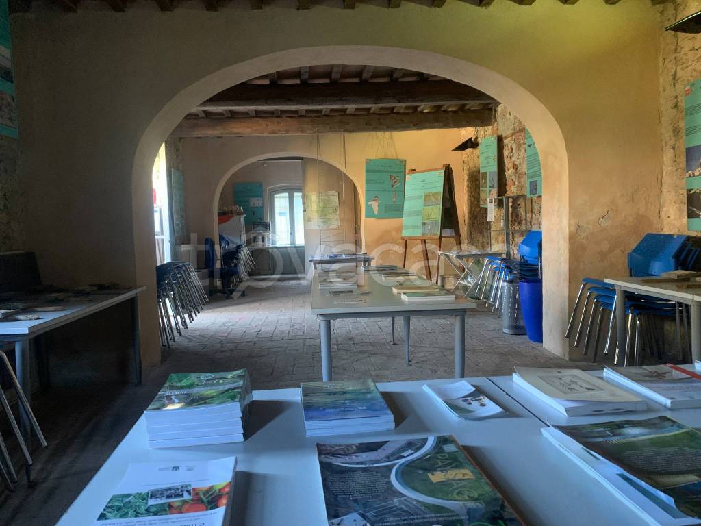 immagine annuncio 5 di 14
