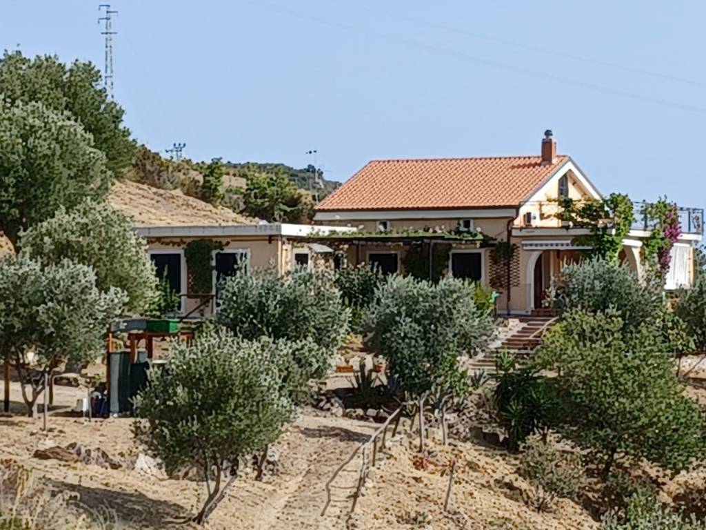 immagine annuncio 12 di 14