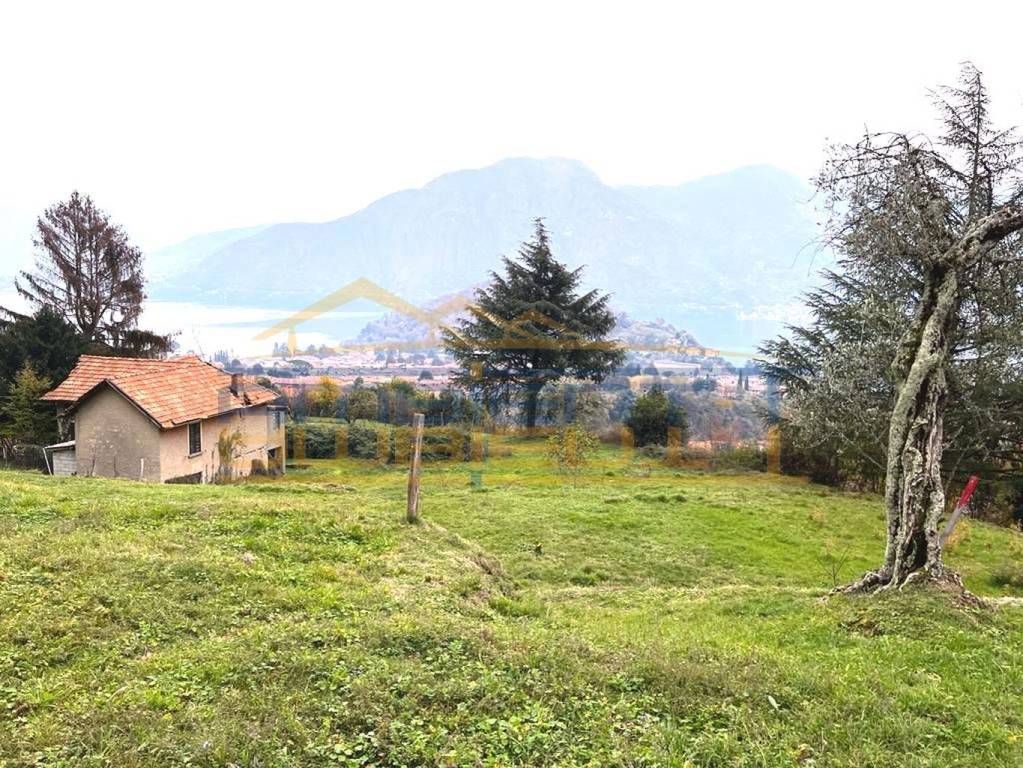 immagine annuncio 7 di 9