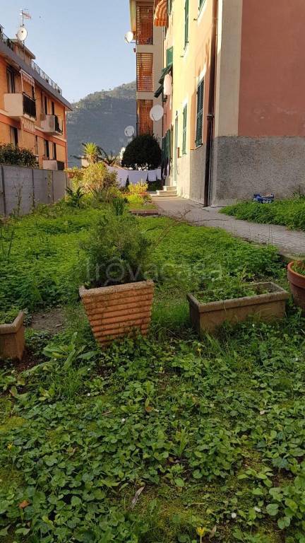 immagine annuncio 10 di 13