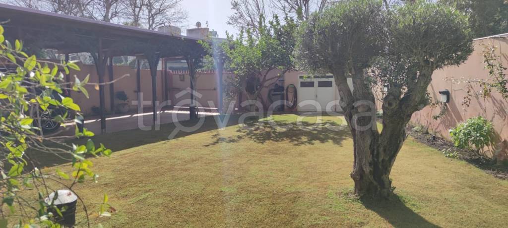 immagine annuncio 10 di 13