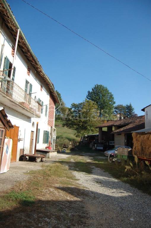 immagine annuncio 7 di 9
