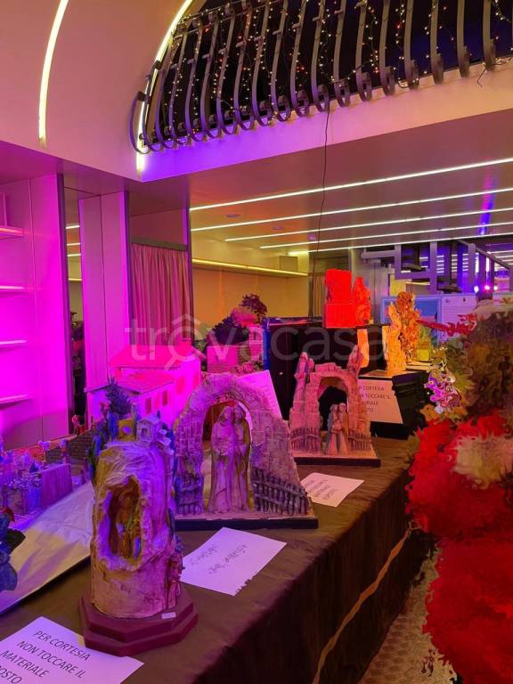 immagine annuncio 2 di 7