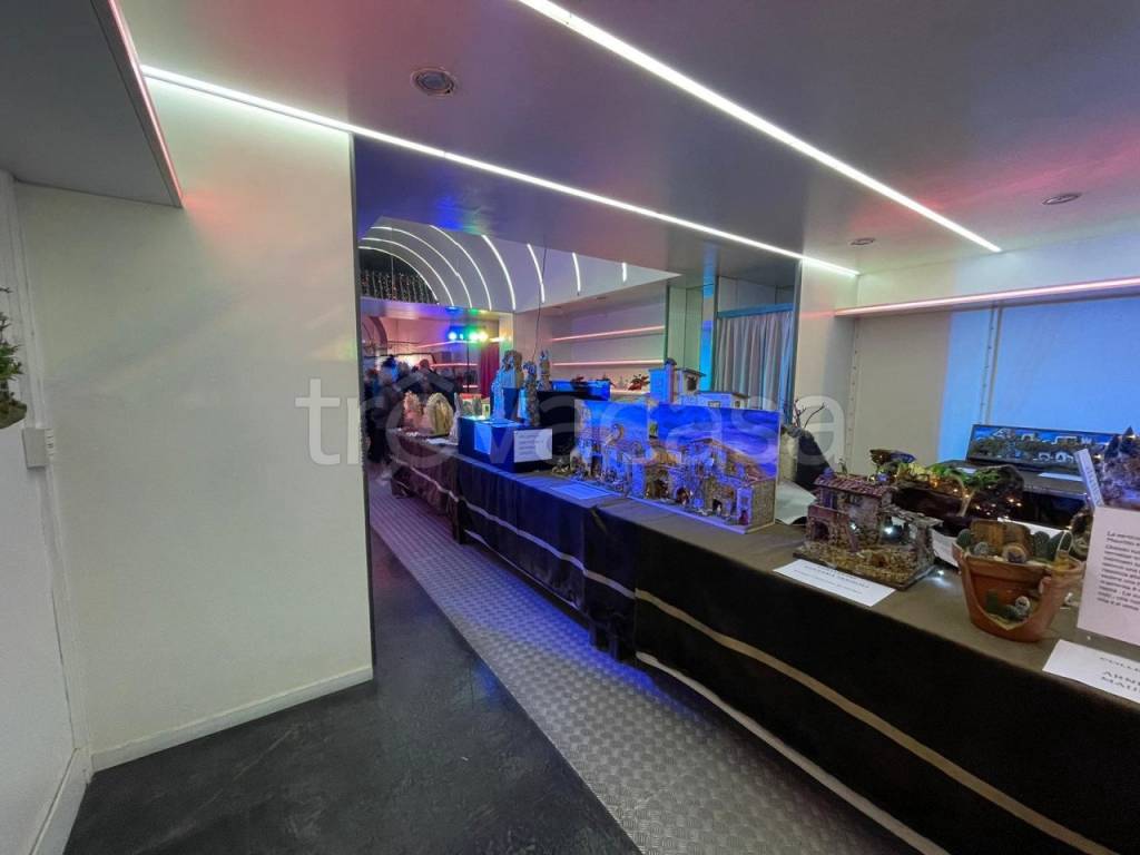 immagine annuncio 4 di 7