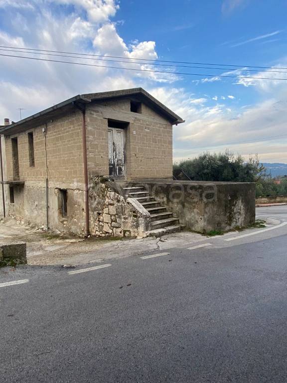 immagine annuncio 1 di 8