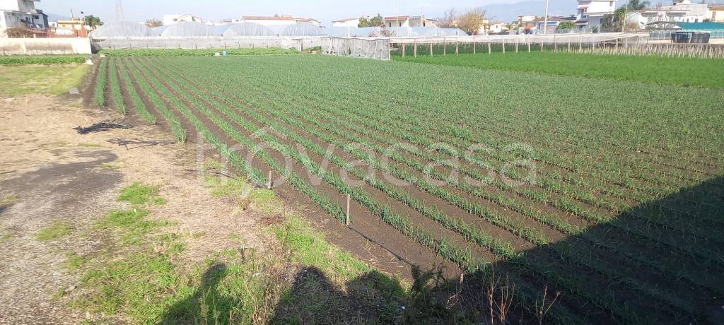 Terreno Agricolo in vendita a Santa Maria la Carità via Fusaro