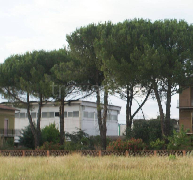 Terreno Residenziale in vendita a Santa Maria a Monte via Francesca, 56