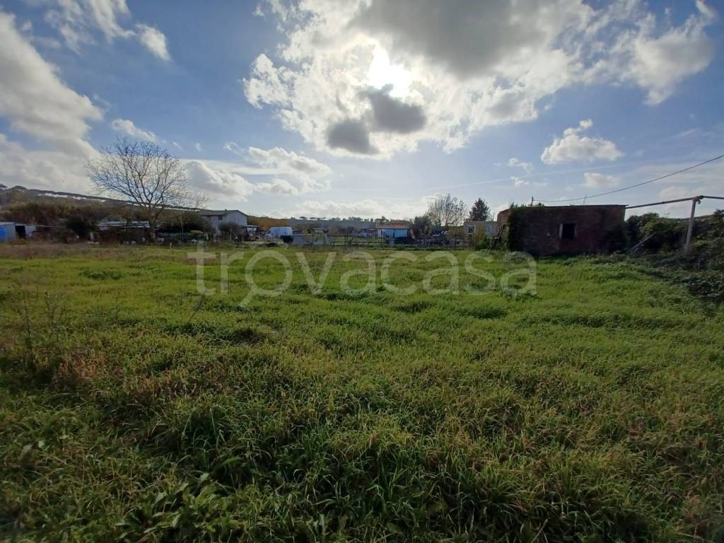 immagine annuncio 4 di 13